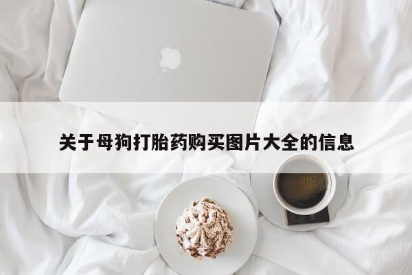 网上米非司酮片在线购买关于母狗打胎药购买图片大全的信息